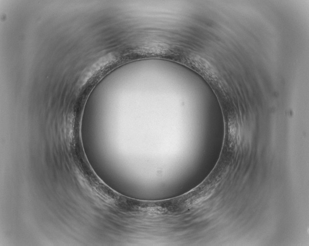 X0000086970396200704161549