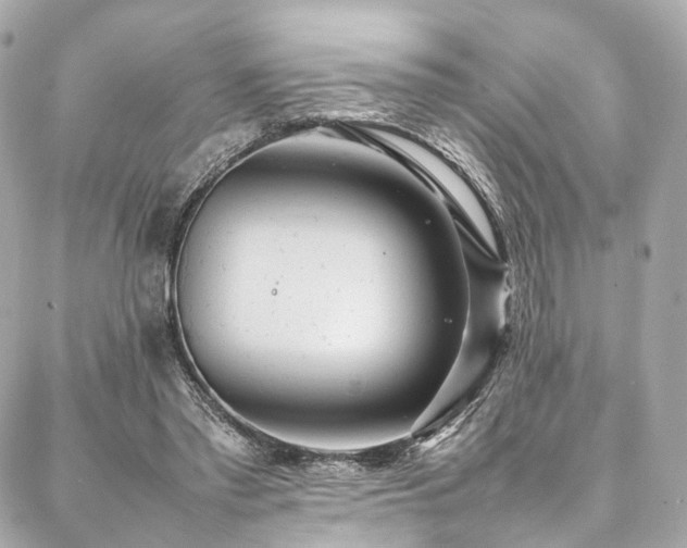 X0000086970397200704161548