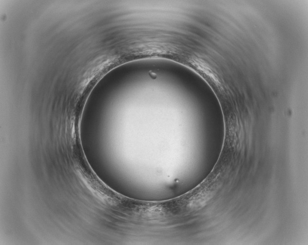 X0000086970398200704161548