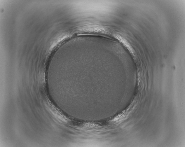 X0000086970399200704161548