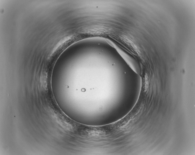 X0000086970400200704161548