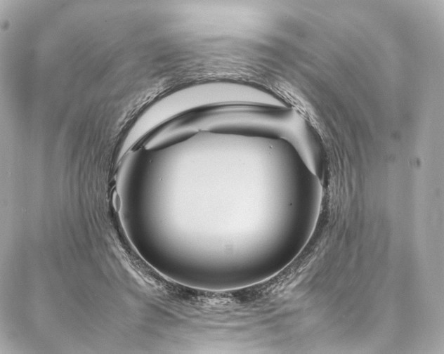 X0000086970401200704161548