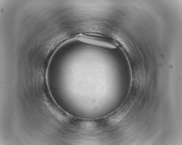 X0000086970402200704161548