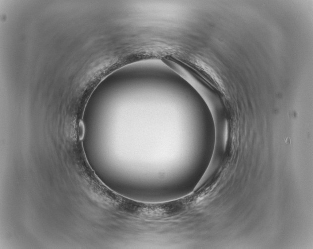 X0000086970403200704161548