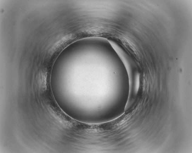 X0000086970404200704161548