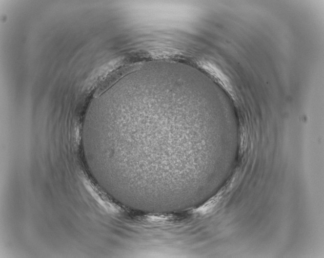 X0000086970405200704161548