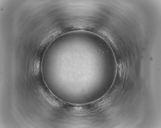 X0000086970406200704161548