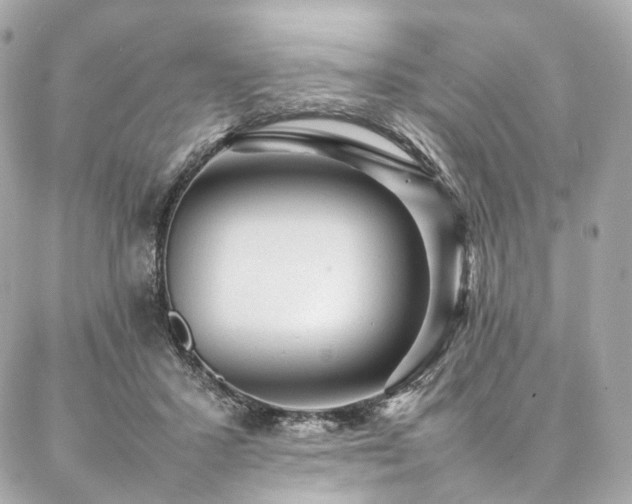 X0000086970407200704161548