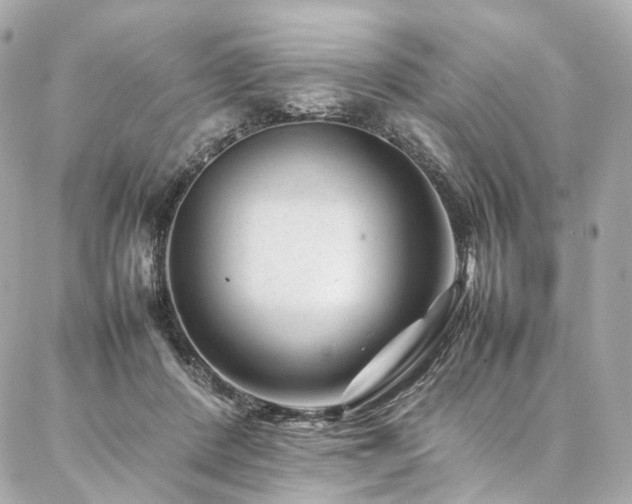 X0000086970408200704161548