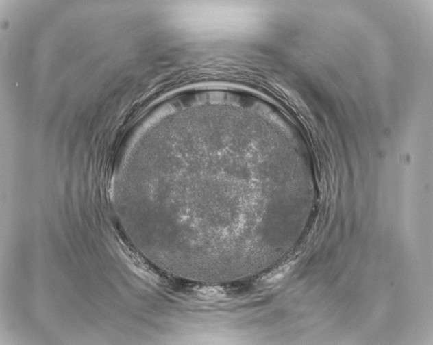 X0000086970409200704161548