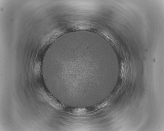 X0000086970410200704161548