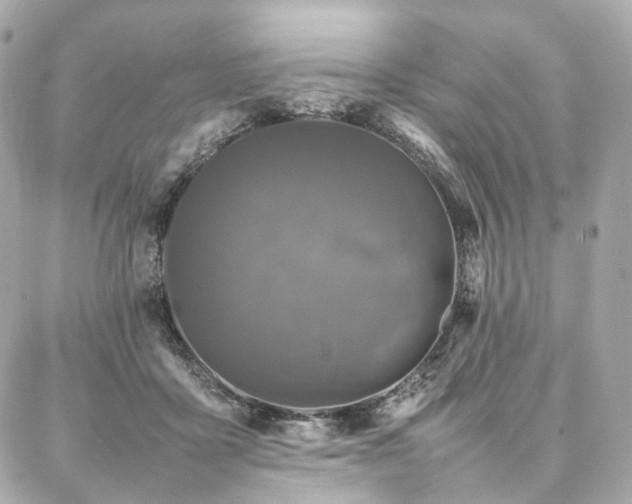 X0000086970411200704161548