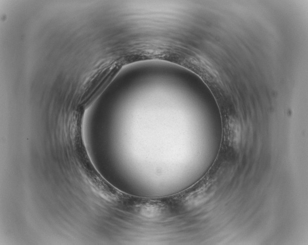 X0000086970412200704161548