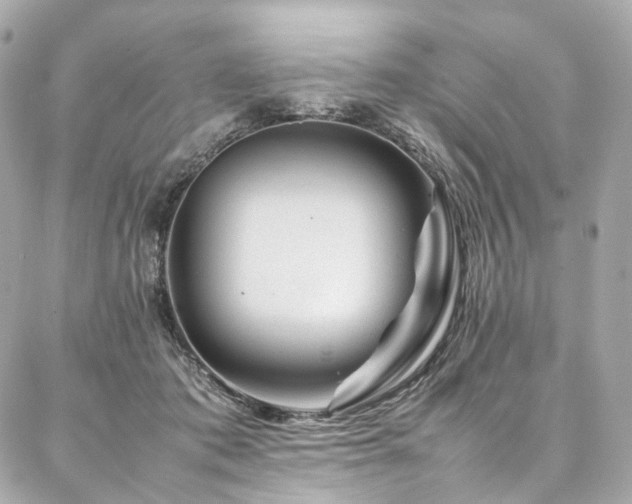 X0000086970413200704161548