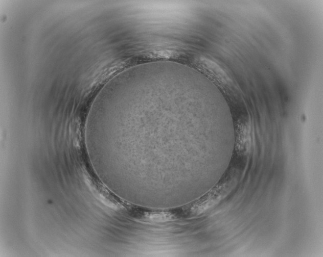 X0000086970414200704161548