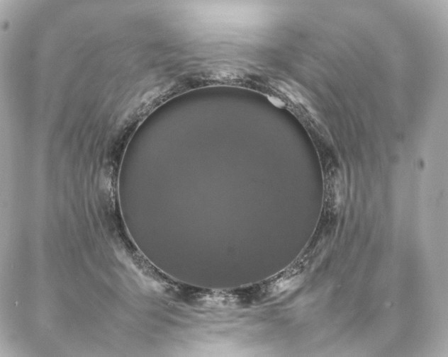 X0000086970415200704161548