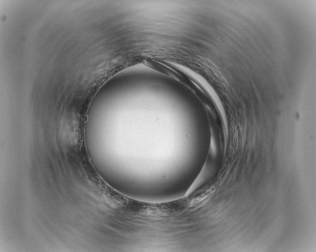 X0000086970416200704161548