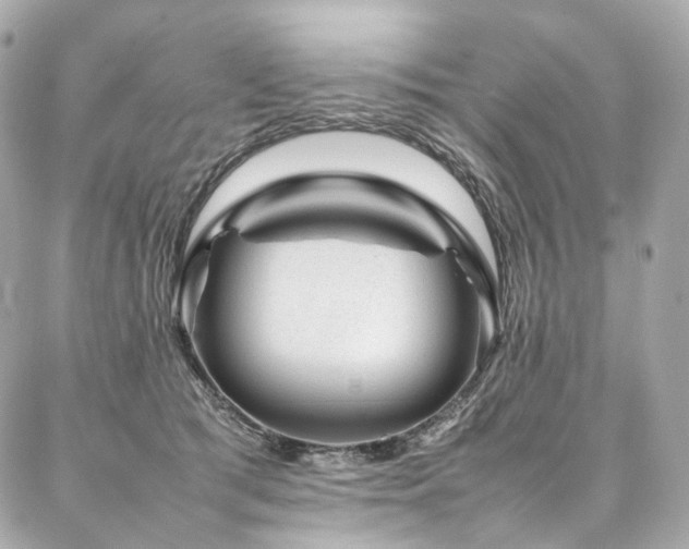 X0000086970417200704161548