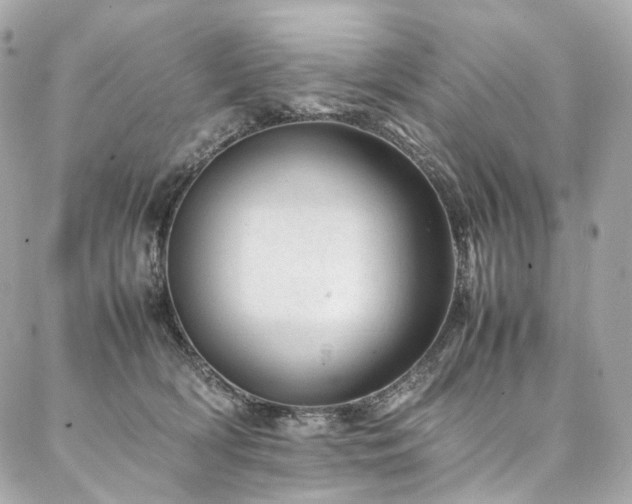 X0000086970418200704161548