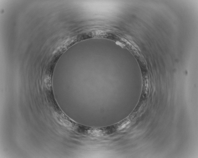 X0000086970419200704161548