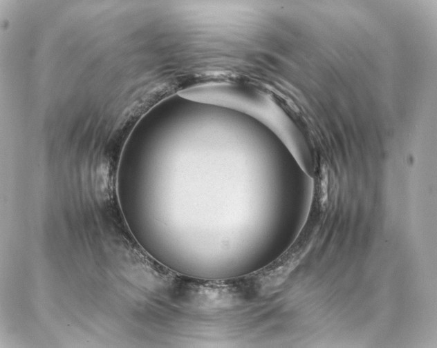 X0000086970420200704161548