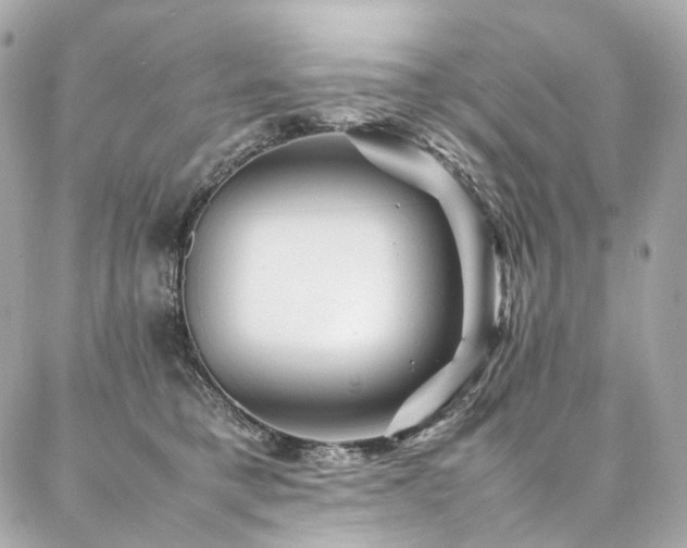 X0000086970421200704161548