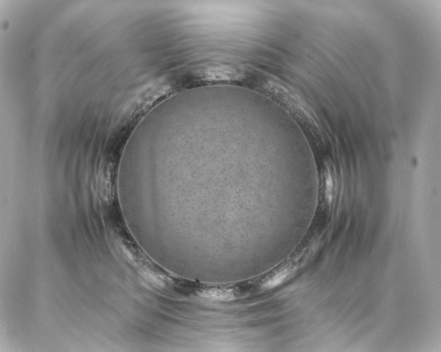 X0000086970422200704161548