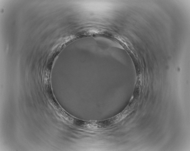 X0000086970423200704161548