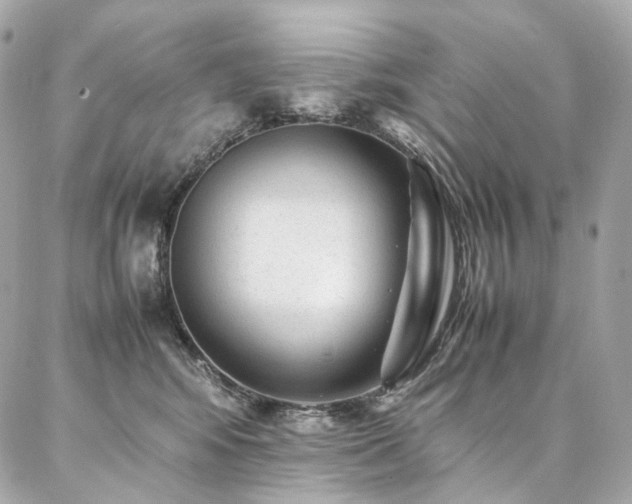 X0000086970424200704161548