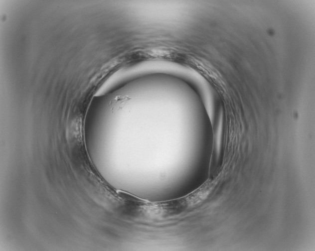 X0000086970425200704161548