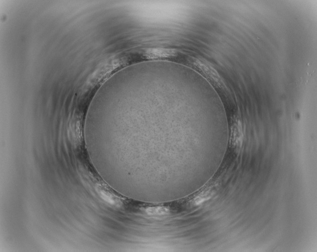 X0000086970426200704161548