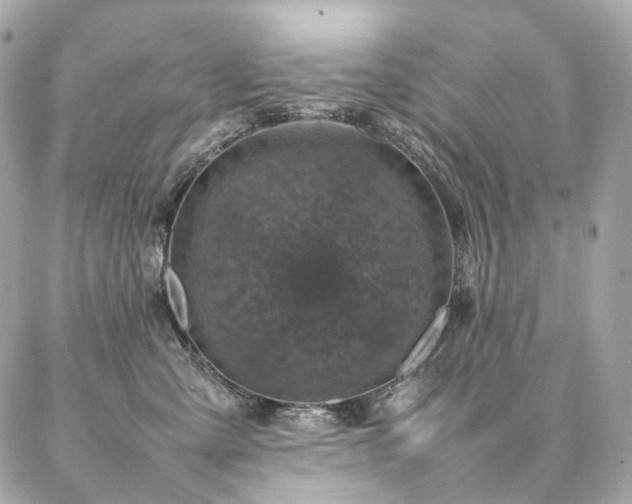 X0000086970427200704161548