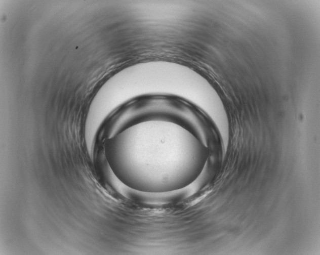 X0000086970428200704161548