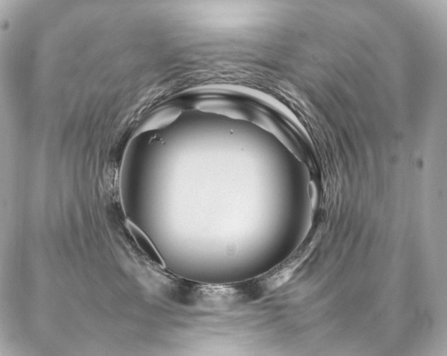 X0000086970429200704161548