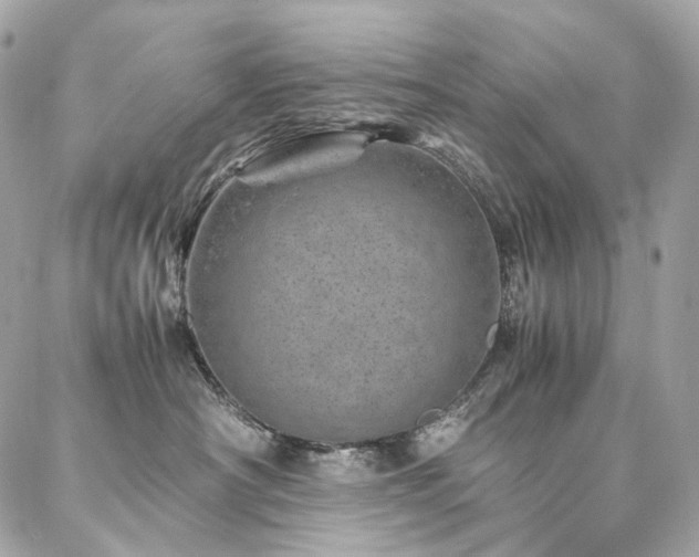 X0000086970430200704161548