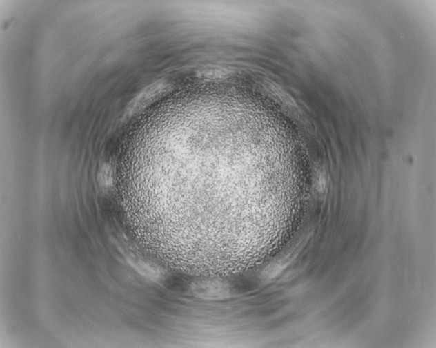 X0000086970431200704161548