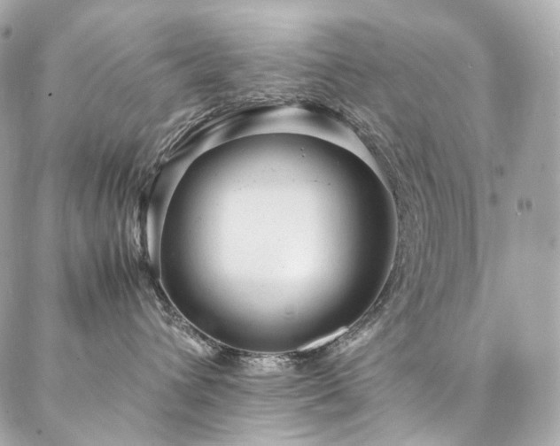 X0000086970432200704161548