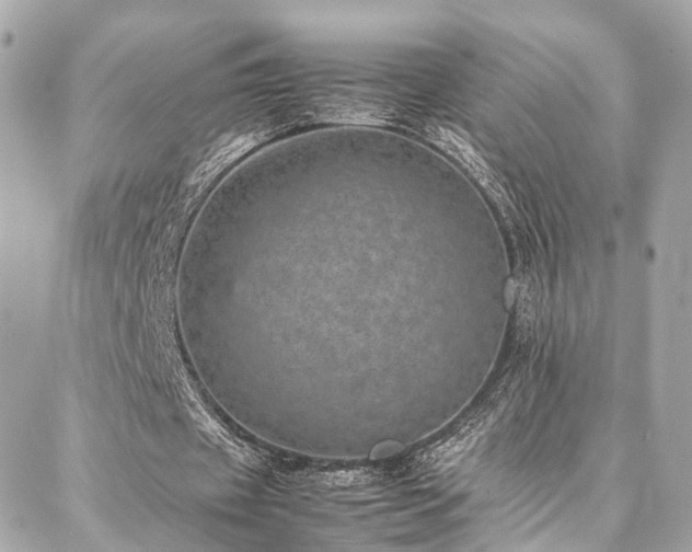 X0000086970433200704161547