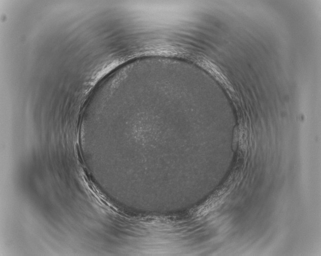 X0000086970434200704161547