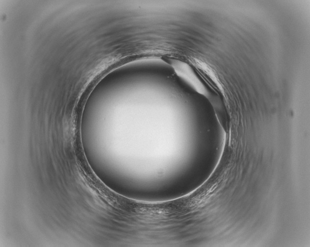 X0000086970435200704161547