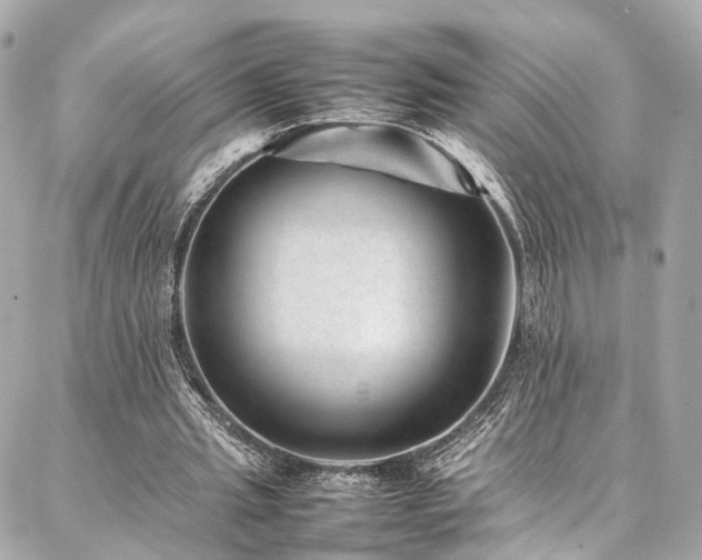 X0000086970437200704161547