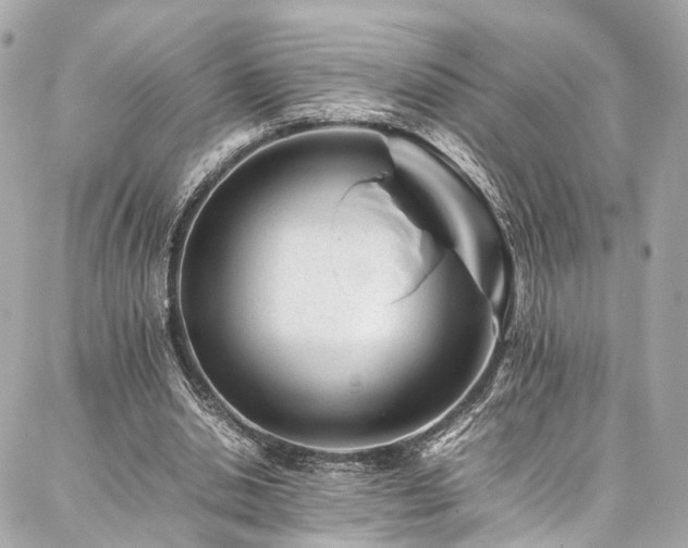 X0000086970438200704161547