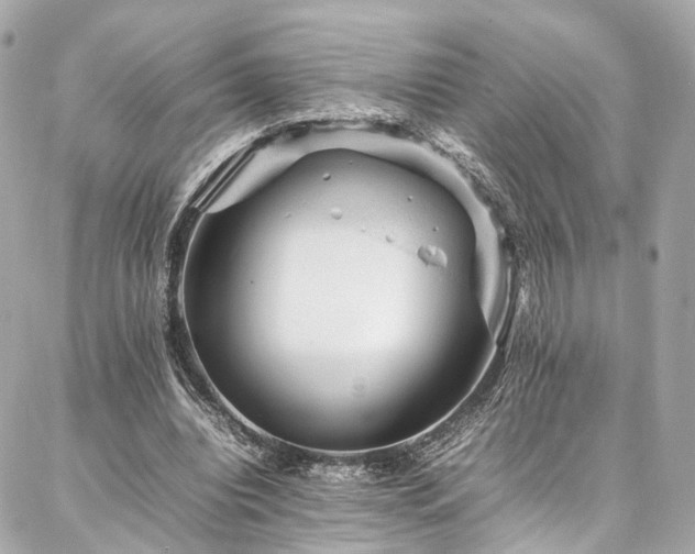 X0000086970440200704161547