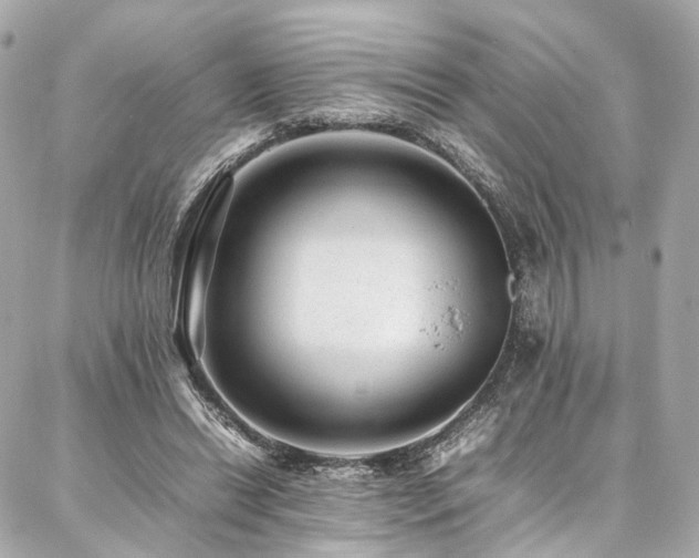 X0000086970446200704161547