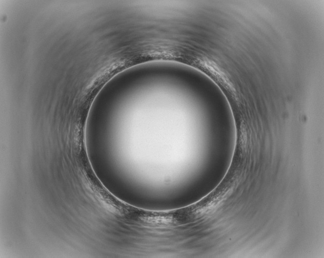 X0000086970449200704161547