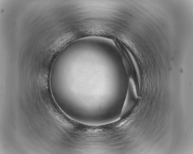 X0000086970450200704161547