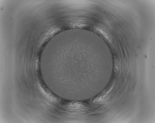 X0000086970451200704161547