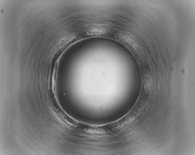 X0000086970455200704161548