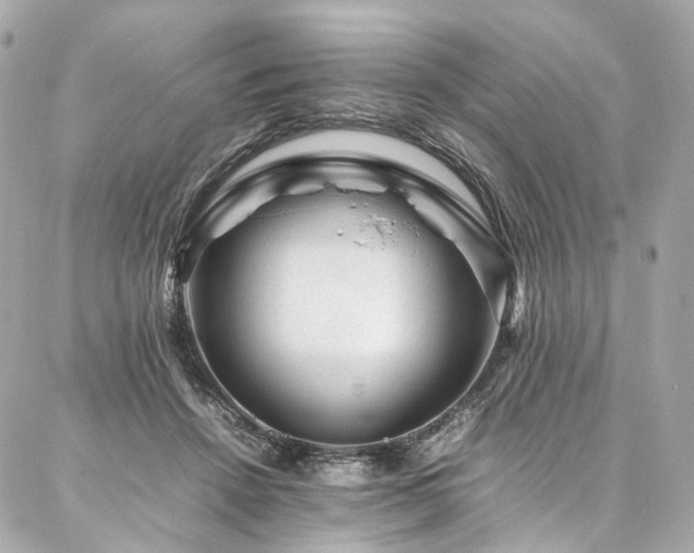 X0000086970456200704161548