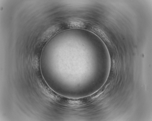 X0000086970457200704161548